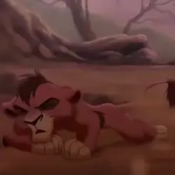 Kovu 🥹 