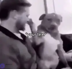 Dog slap