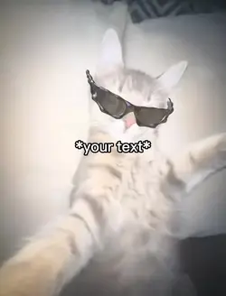 Cat rizz meme