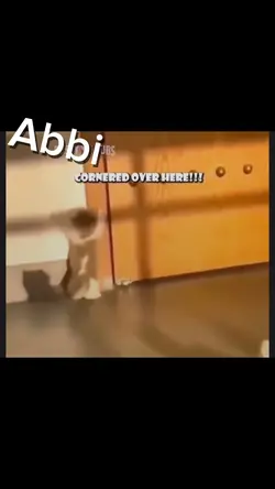 Friends as cats