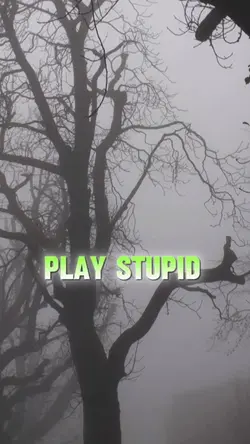 Play stupid 