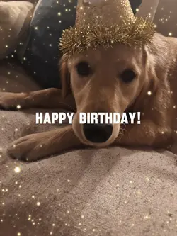 Happy birthday willo