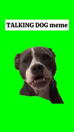 TALKING DOG meme