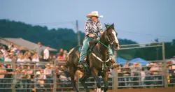  Velocity rodeo
