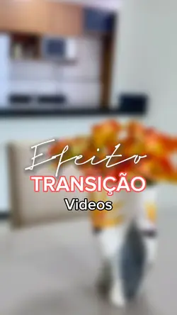 Transição de Vídeos