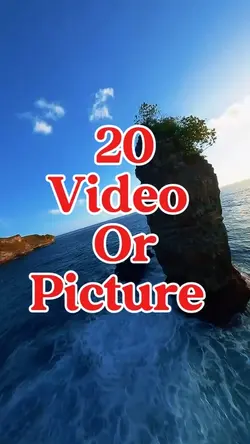 20 video or picture 