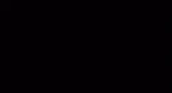 Netflix template