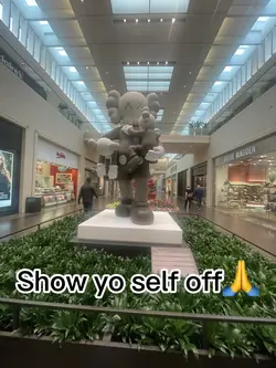 Show yo self off