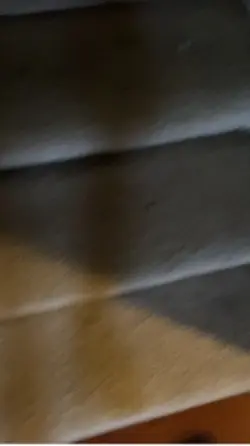 XD