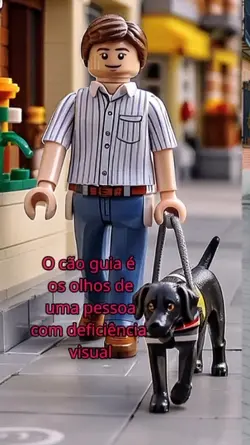 CÃO GUIA+EFEITO LEGO