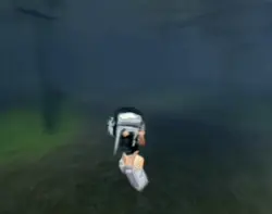 EDIT