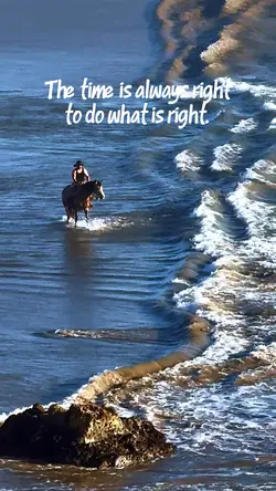 Freedom