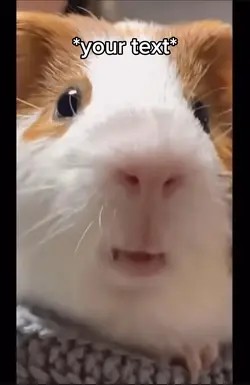 Num num  