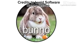 Bunny lesson :>