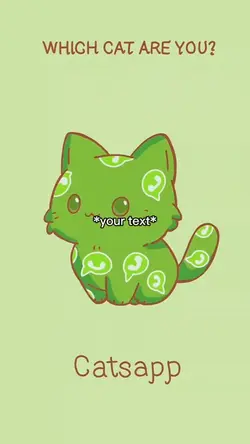 Which cat are yo