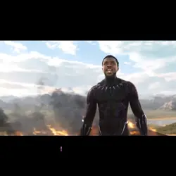 Black Panther 