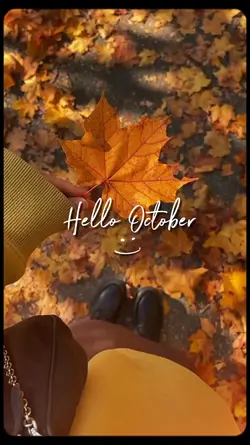 Fall is Here !