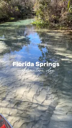 Florida Springs