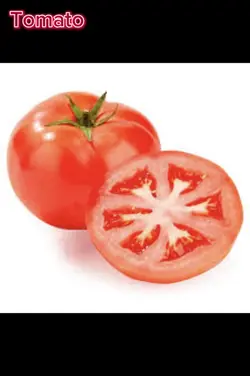 Tomato