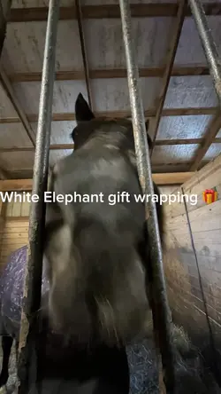 Gift wrapping 🎁 