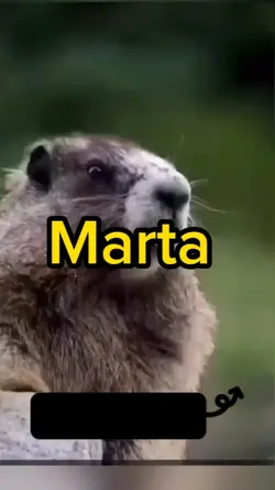 Marta