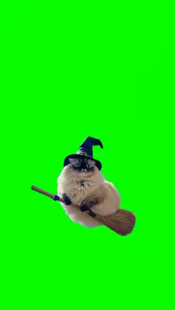 Halloween Gatuno