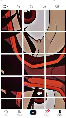TikTok Profile Edit