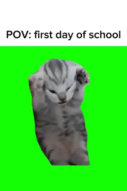 Cat meowin