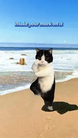 Lifes a litterbox 💙🩵