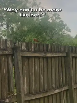 ..