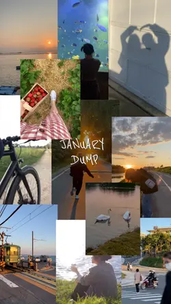 January Dump