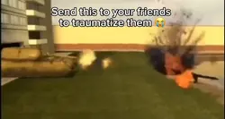 Crocodile blow up
