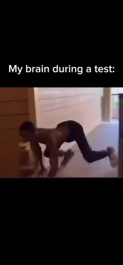 My brain: