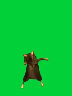 Rat dancing