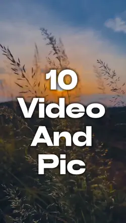 10 Clipș template 