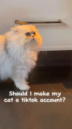 Cat!!!