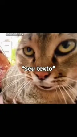 O gato skksksks