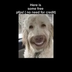 free pfps!