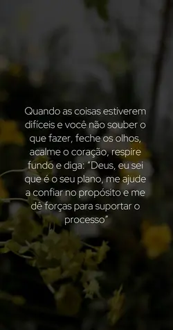 Frase para status