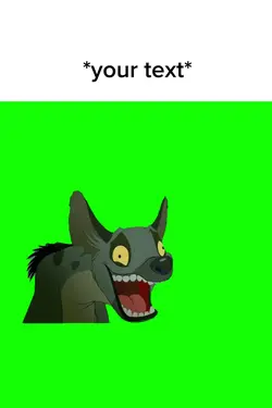 Hyenas laughin