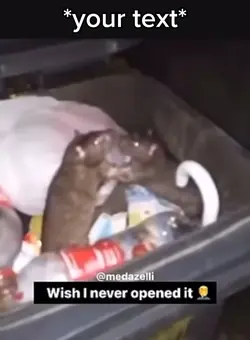 Rats caught 