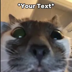 Waiting Meme