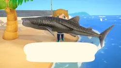 animal crossing meme