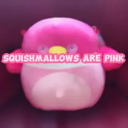 Squishmellows are…