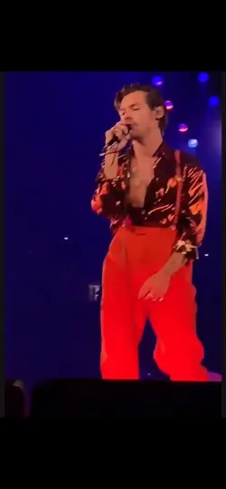 Harry styles