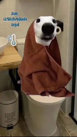 meme frio