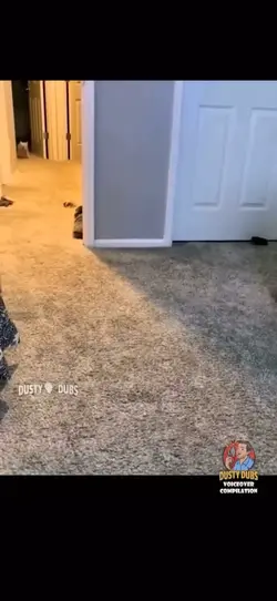 Canine Memes