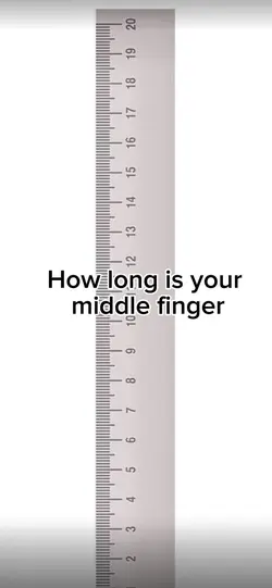 Ruler 