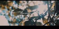 LayoutVídeo manifest