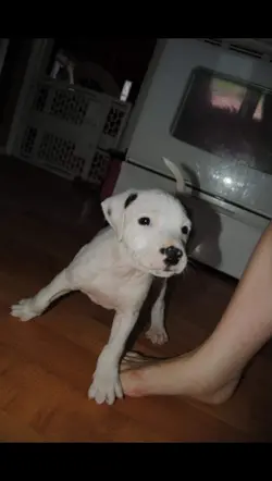 My name is BILLY